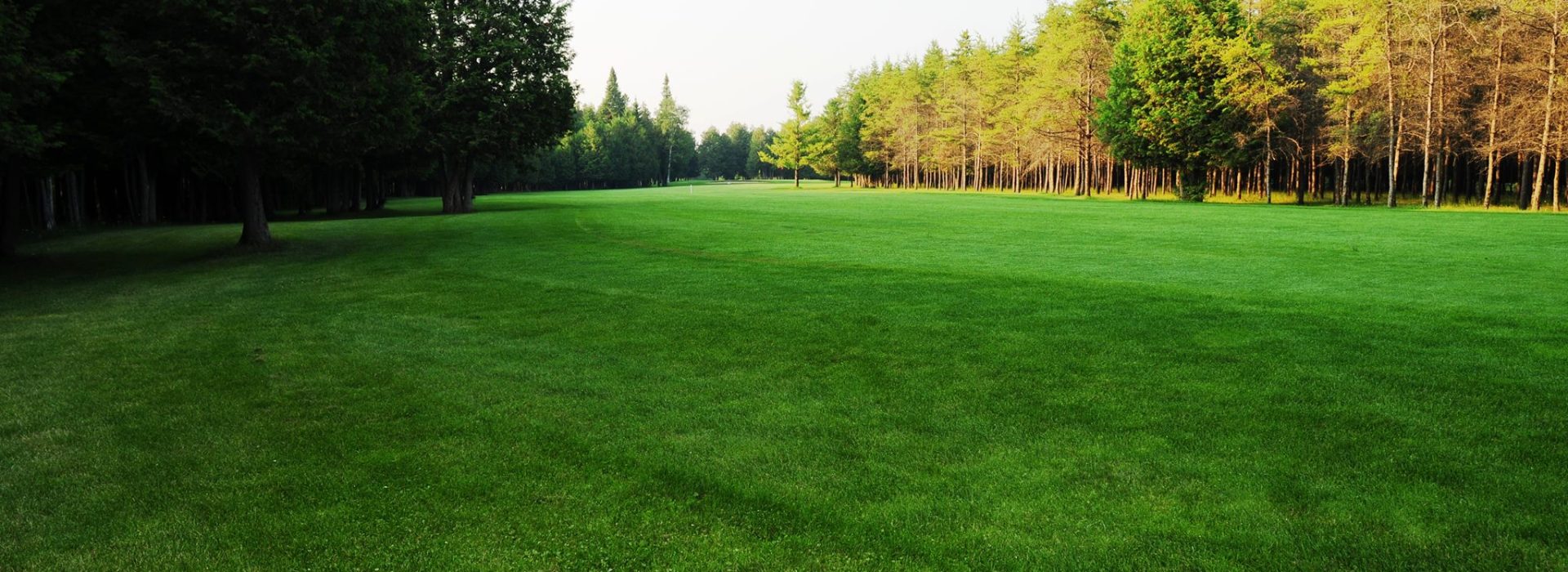 view of golf course green