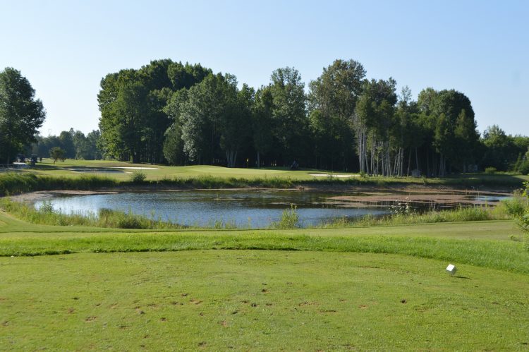 Golf course green from tees
